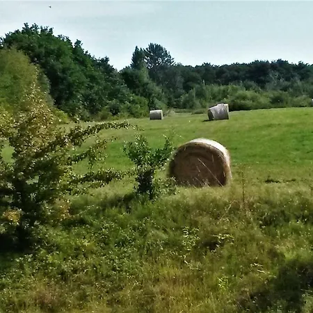 Strandhaus 45481 洛布